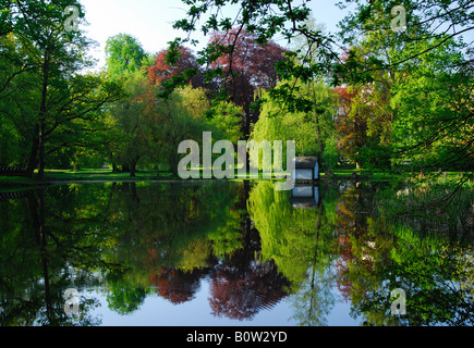 Holzente Haus spiegelt sich im See im Spreewald Wald bei Lübbenau Deutschland Stockfoto