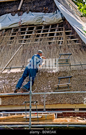 Thatcher Schilf Dach Haus Niederlande Nord Holland holländische Anna Paulowna Polder Bauernhaus Stockfoto