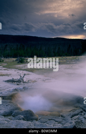 Senf-Frühling bei Sonnenuntergang Keks Becken Yellowstone Nat l Park WYOMING Stockfoto