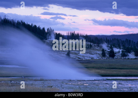 Dampf-Entlüftung von Thermalquelle Abend an Biscuit Basin Yellowstone-Nationalpark, WYOMING Stockfoto