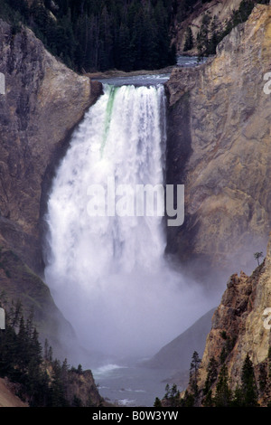 Lower Yellowstone Falls Grand Canyon des Yellowstone River Yellowstone Nationalpark-WYOMING Stockfoto