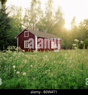 Alten Blockhütte im Wald Stockfoto, Bild: 28993045 - Alamy