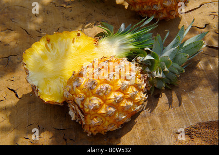 Frische Victoria Ananas in zwei Hälften geschnitten auf einem Holzgarten Tisch in der Sonne Stockfoto
