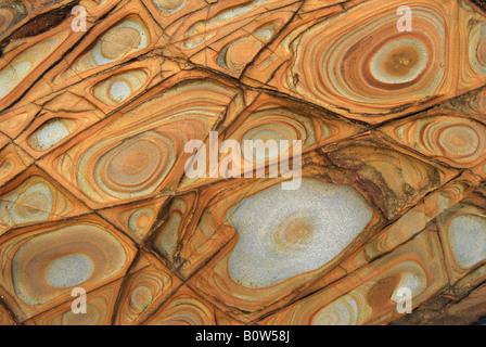 Fels-Formationen, Widemouth Bay, Bude, North Cornwall, England, UK. Stockfoto