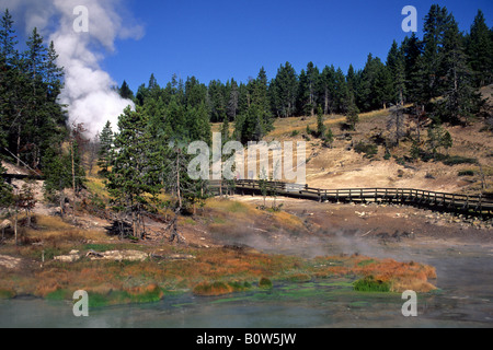 Touristen sehen Sie Dampf Schlamm Kessel Yellowstone-Nationalpark, WYOMING von Dragon s Mund Frühjahr ansteigen Stockfoto