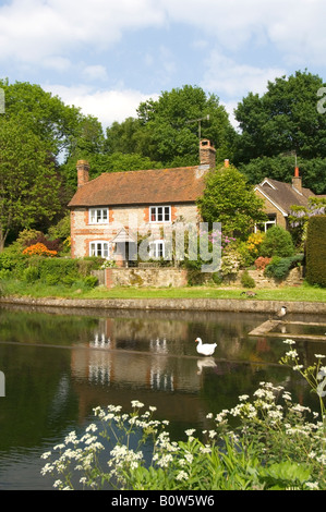 Cottage und weiße Gans Shottermill Haslemere Surrey UK Stockfoto