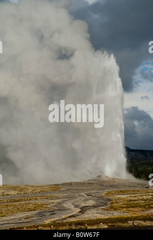 Ausbruch des geothermischen Dampf und Wasser Entlüftung aus alten Gläubigen Geysir Upper Geyser Basin Yellowstone-Nationalpark, Wyoming Stockfoto