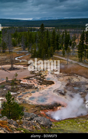 Dampf steigende aus geothermischen Entlüftungsöffnungen und heißen Quellen am Künstler Paintpots in der Nähe von Norris Yellowstone-Nationalpark, Wyoming Stockfoto