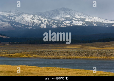 Ersten Schneesturm im Frühherbst in den Bergen oberhalb der Yellowstone River Hayden Valley Yellowstone Nationalpark Wyoming Stockfoto