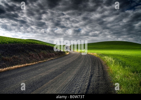 Palouse Washington USA Schotterstraße durch grünen Hügeln alata Stockfoto