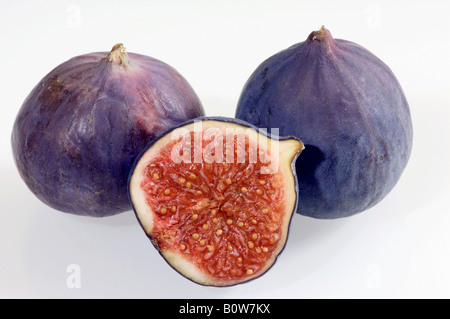 Feigen (Ficus Carica) Stockfoto