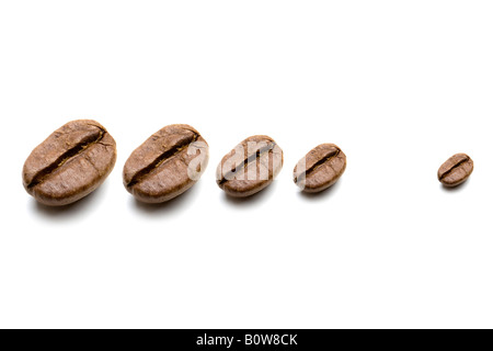 Kaffeebohnen, verschiedene Größen Stockfoto