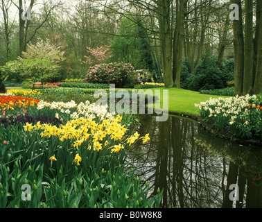 Blumengarten Keukenhof, Holland, Niederlande, Europa Stockfoto