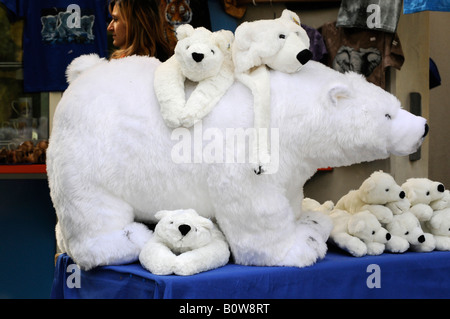 Flocke Polar Bear Cub, ausgestopfte Tiere, Tierpark Nürnberg, Nürnberger Zoo, Deutschland, Europa Stockfoto