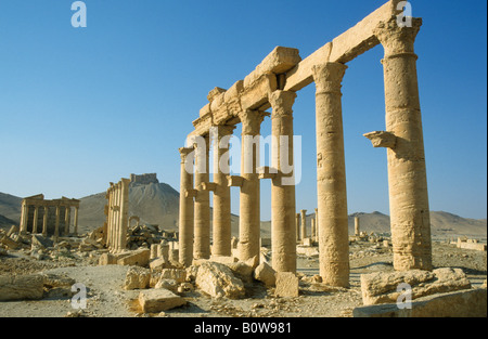 Antiken Säulen, Palmyra, Syrien, Naher Osten Stockfoto