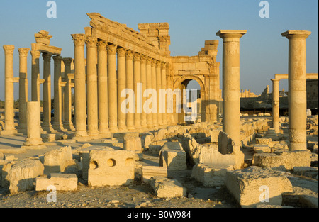 Antiken Säulen, Palmyra, Syrien, Naher Osten Stockfoto