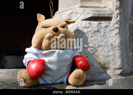 Stofftier Bulldog tragen rote Boxhandschuhe Stockfoto