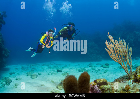 Mutter und Tochter Tauchen, Roatan, Honduras, Caribbean Stockfoto