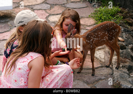 Kinder spielen mit Faon zahmen Hirsche, Mittelamerika, Nicaragua, Nicaragua-See, Insel Ometepe Stockfoto