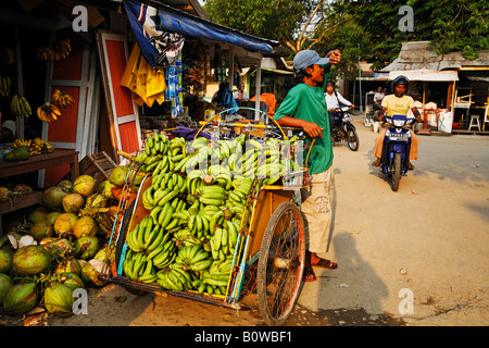 Produzieren Sie Verkäufer Verkauf von Bananen in Tenggarong, Ost-Kalimantan, Borneo, Indonesien Stockfoto