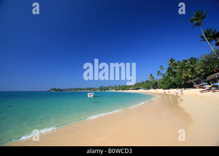 Touristen auf Unnawatuna Strand in der Nähe von Galle, Sri Lanka. Stockfoto