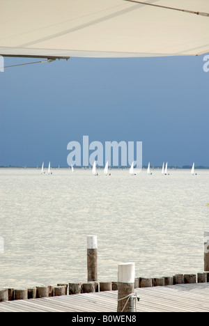 Blick vom Restaurant Mole West an den Neusiedler See mit Segelbooten, Neusiedl am See, Burgenland, Österreich Stockfoto