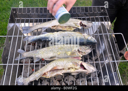 Fangfrischen Forellen auf dem Grill, würzen Stockfoto