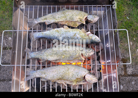 Fangfrischen Forellen auf dem grill Stockfoto