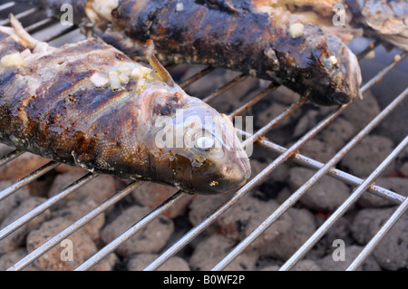 Fangfrischen Forellen auf dem grill Stockfoto