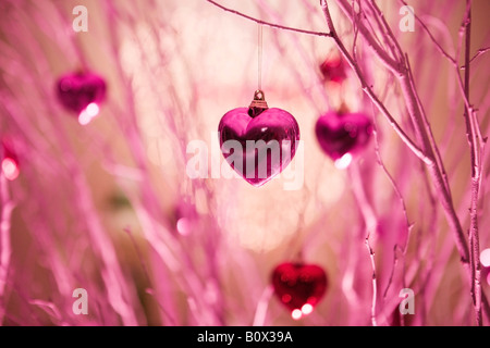 Herzförmige Dekorationen an einem Baum hängen Stockfoto