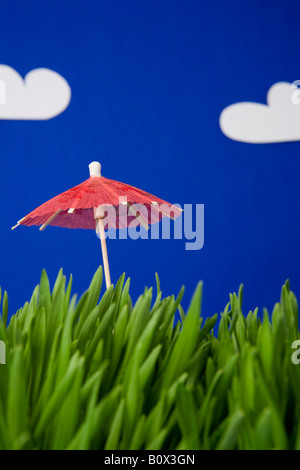 Ein cocktail Regenschirm im Rasen Stockfoto