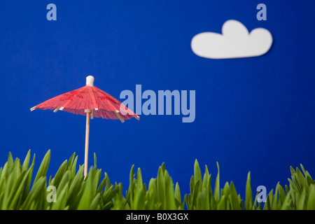 Ein cocktail Regenschirm im Rasen Stockfoto