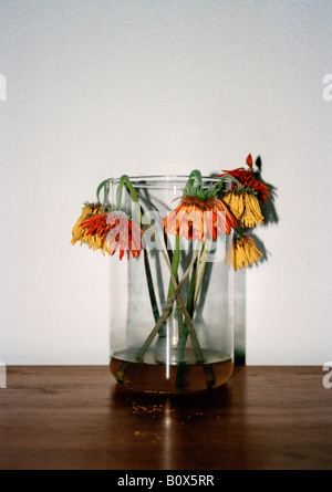 Welke Blumen in einer vase Stockfoto