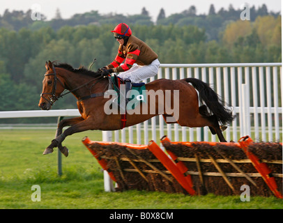 Donner-Kind geritten von Jockey geht T Molloy über eine Hürde auf dem Towcester Racecourse Stockfoto