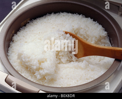 Reis im Reiskocher Stockfoto