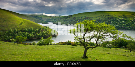 Stormy Frühling Nachmittag mit Blick auf Meldon Reservoir im Dartmoor National Park Devon England Stockfoto