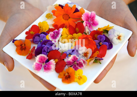 Essbare Blumen Stockfoto