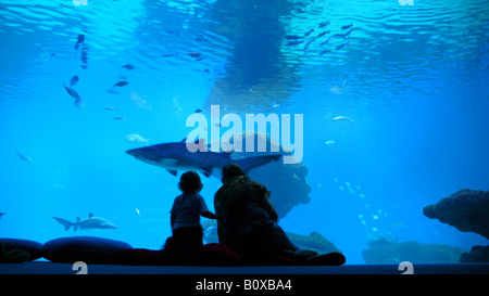 Mutter mit Kind sitzt vor einem aquarium Stockfoto