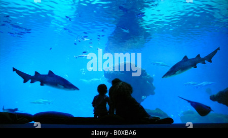 Mutter mit Kind sitzt vor einem aquarium Stockfoto