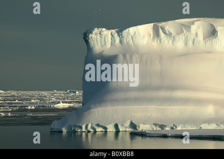 Eisberg Antarktis im südlichen Ozean auf einem fast flachen Meer bedeckt von Eisschollen, Antarktis, Südlicher Ozean Stockfoto