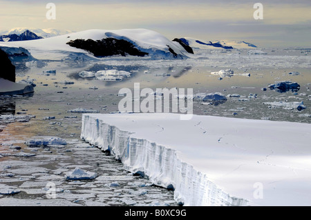 Packeis, Antarktis, Suedpolarmeer und Eis driften Stockfoto