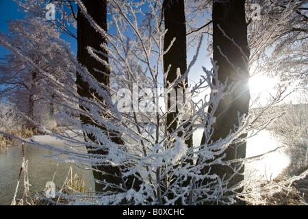 Teich in der Nähe von Jocketa im ersten Morgenlicht in Winter, Deutschland, Sachsen, Vogtlaendische Schweiz Stockfoto