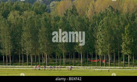 Pferde-Rennen auf dem Towcester Racecourse Stockfoto