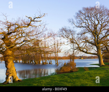 Überschwemmungen auf Ackerland von Fluß Avon. Grenzen der Dorset und Hampshire, UK. Abendsonne. Stockfoto