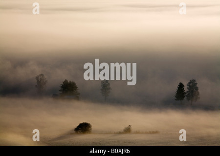 Deutschland, Bayern, Murnau, Misty Landschaft Stockfoto