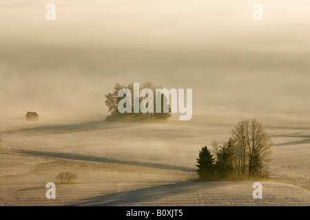 Deutschland, Bayern, Murnau, Misty Landschaft Stockfoto