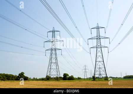 UK-England-Suffolk Stromleitungen aus Kernkraftwerk Sizewell B über farmland Stockfoto