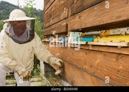 Österreich, Imker vor Bienenstock Stockfoto