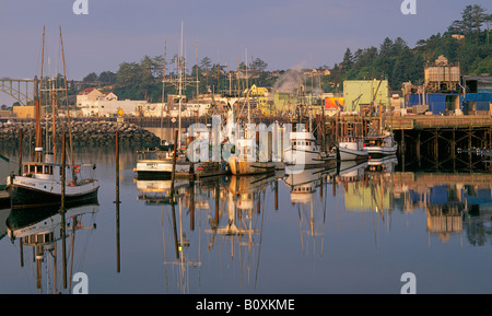 Ein nebliger Morgen und einen Blick auf die Fischerboote aus der örtlichen Fischereiflotte im Hafen von Newport in Newport Oregon angedockt Stockfoto