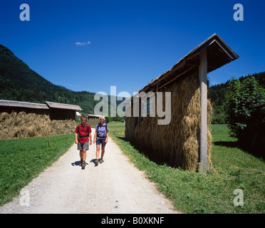 Wanderer auf einer Strecke, vorbei an Heuraufen oder Kozolecs in der Nähe von Srednja Vas in Gorenjska Zgornja Dolina, Bohinj, Slowenien. Stockfoto